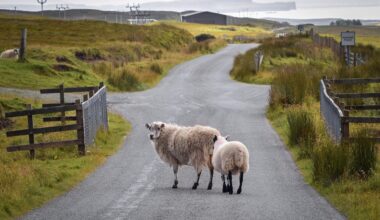 Study reveals severe post-Brexit reduction in lending to small and medium-sized enterprises in rural areas of UK