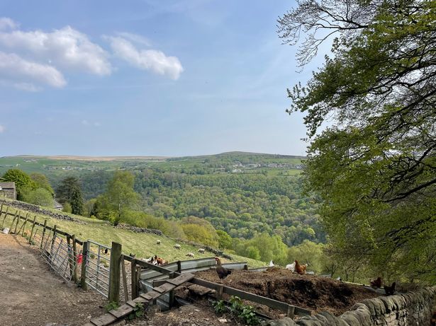 The breathtaking views of the valley below 