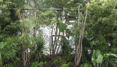 bas smets on building plant-filled biospheres in venice biennale