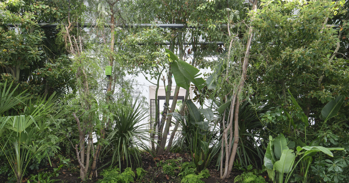 bas smets on building plant-filled biospheres in venice biennale
