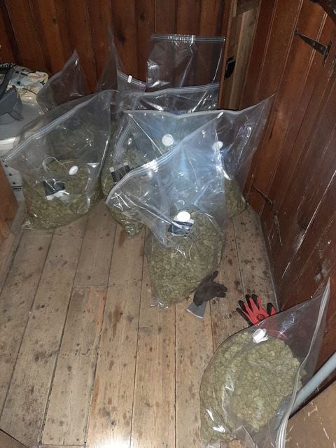 Cannabis factory found in Blackwatertown. Credit: PSNI