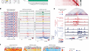 Three-dimensional genome landscape of primary human cancers