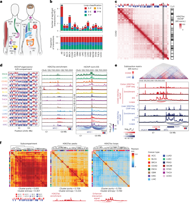 Three-dimensional genome landscape of primary human cancers