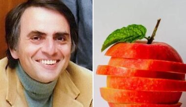 45 years ago, Carl Sagan beautifully explained the fourth dimension with just an apple.