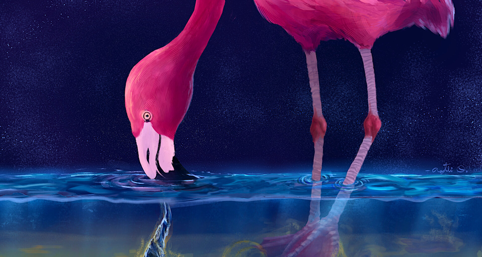 Flamingos create water tornados to trap their prey