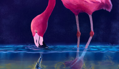 Flamingos create water tornados to trap their prey