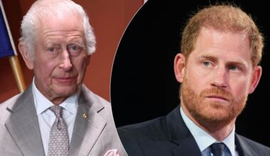 Experts Warn Prince Harry's Fallout Could Tarnish King…