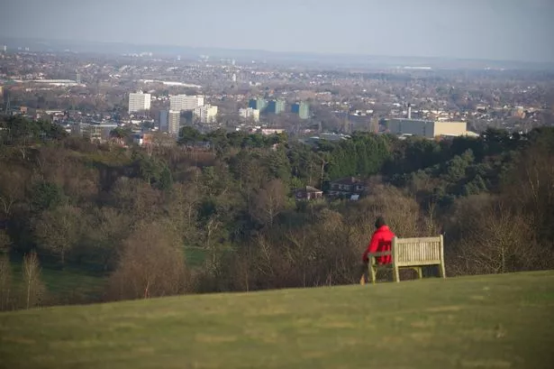 A moment of contemplation at the Lickey Hills 
