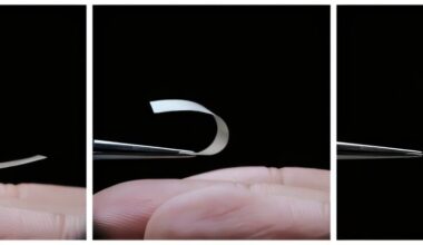 Versatile fungi-based living material is tear-resistant and can even be safely eaten