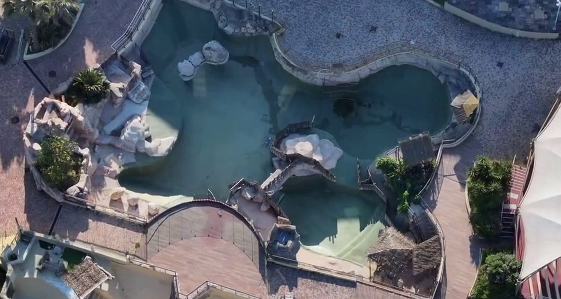 Abandoned theme park left 'frozen in time' where stranded Orca whales and bottlenose dolphins have been left to rot