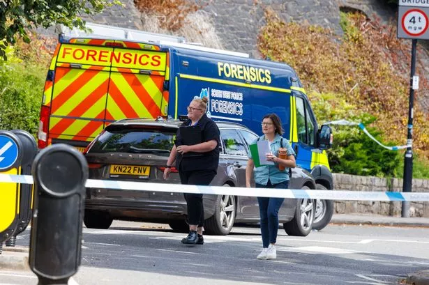 Man accused of murdering two and leaving remains in suitcase appears in court