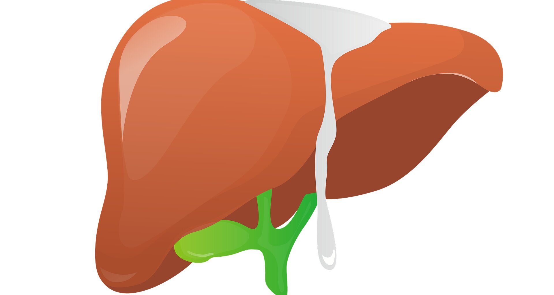 New genetic factor identified in worsening of MASLD, with vitamin B3 as the most effective therapeutic agent