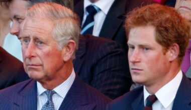 Harry Reveals What Really ‘Created Problems’ With His Father Charles: ‘He Had Been…’
