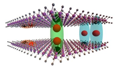 Two distinct exciton states observed in 2H stacked bilayer molybdenum diselenide