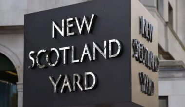 Ipso logo