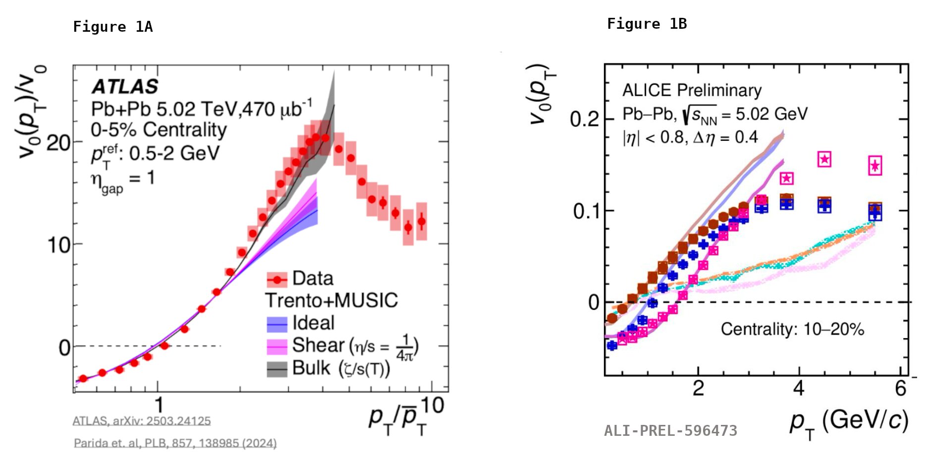 Scientists observe collective behavior of femtoscopic droplets at CERN