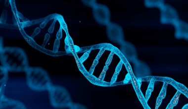 Previously unidentified genetic determinants of rare disease discovered | UCL News