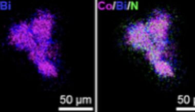 Nanoparticle-cell interface enables electromagnetic wireless programming of mammalian transgene expression