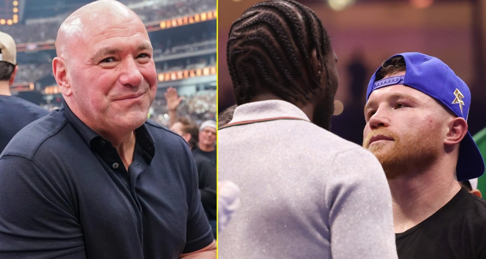 Dana White removed from Canelo Alvarez vs Terence Crawford as dramatic changes announced