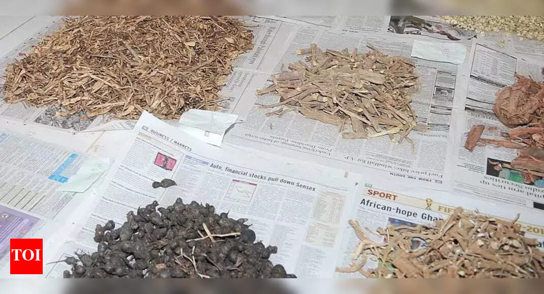 In a first, state regulatory authority warns Ayurvedic drug making firm | Kozhikode News