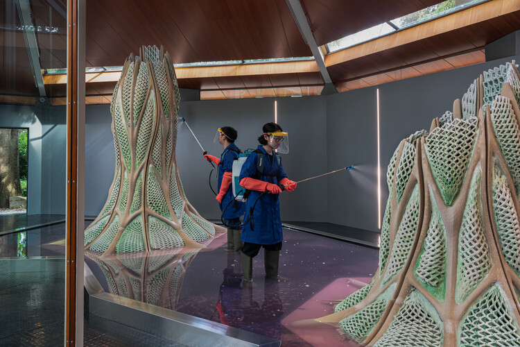 Canada Pavilion Presents Picoplanktonics, a Living Experiment in Regenerative Architecture at the 2025 Venice Biennale - Image 9 of 14