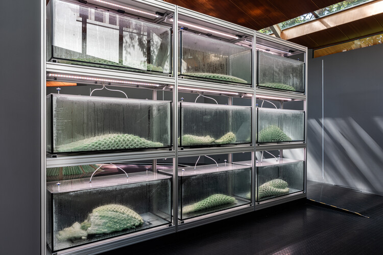 Canada Pavilion Presents Picoplanktonics, a Living Experiment in Regenerative Architecture at the 2025 Venice Biennale - Image 13 of 14
