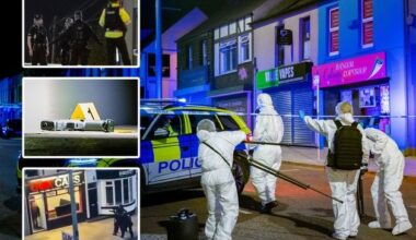 Bangor: Shots fired in Co Down town discharged by PSNI officers as ‘veteran’ detained in major incident
