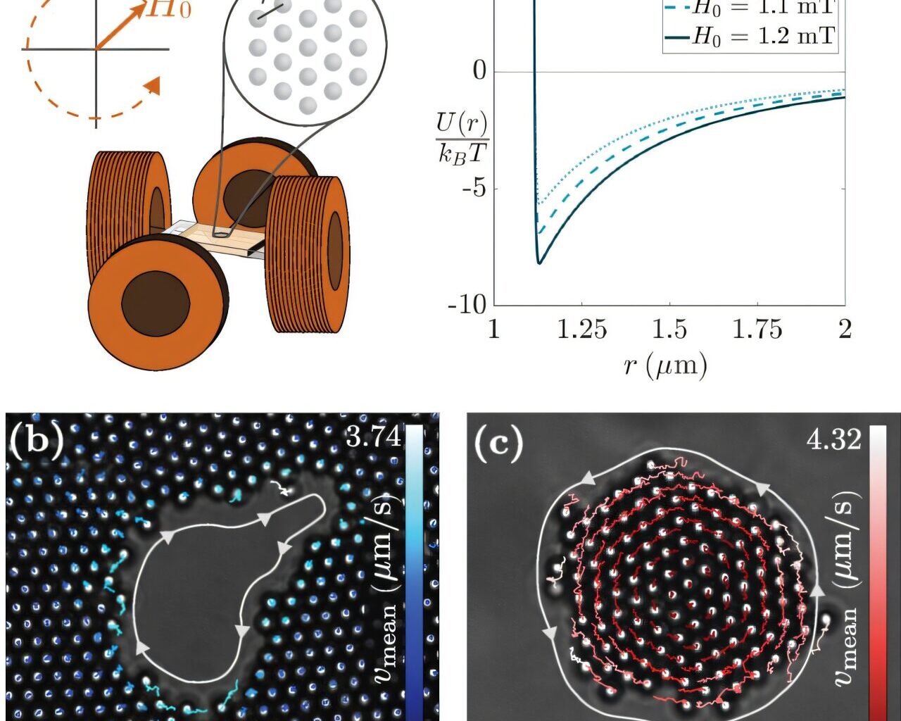 Study shows how magnetic particles reveal hidden rule of nature