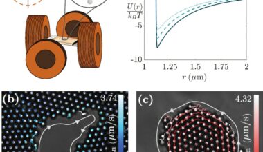 Study shows how magnetic particles reveal hidden rule of nature