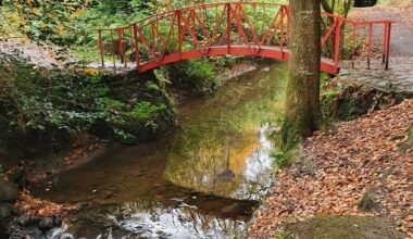 Clare Glen, Tandragee: Police investigating report of man exposing himself at Co Armagh beauty spot