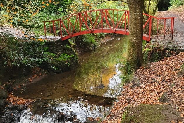 Clare Glen, Tandragee: Police investigating report of man exposing himself at Co Armagh beauty spot