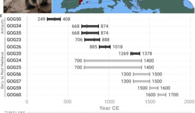 Ancient DNA study reveals ethnic cleansing impact on genetic landscape of Spain