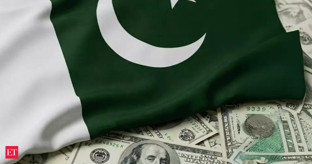 IMF defends Pakistan bailout, says all targets were met
