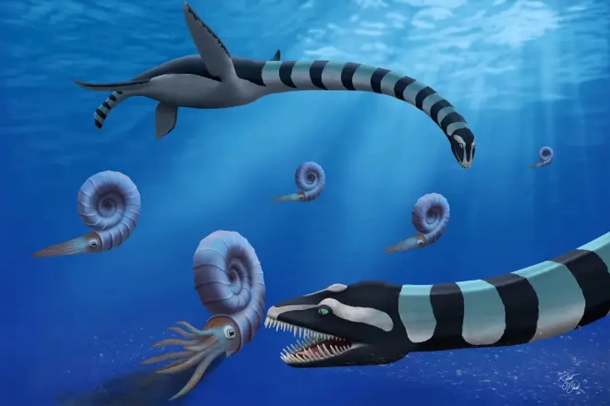 End to the mysterious sea creature discovered in 1988: it is a new species called Traskasaura sandrae - MARCA