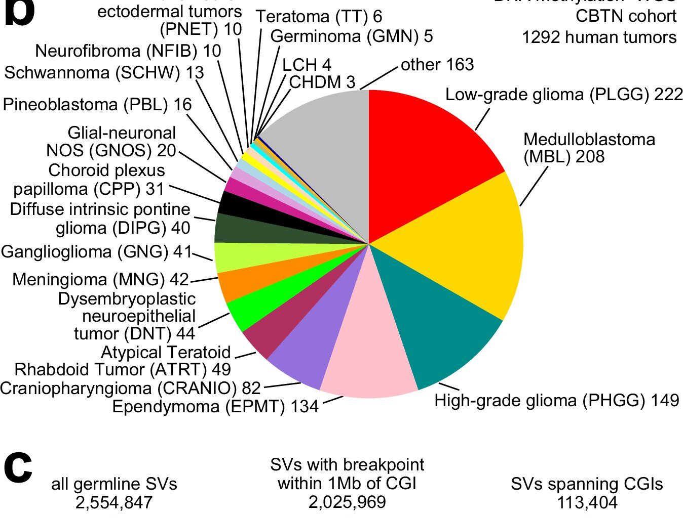Study uncovers source of genetic variation influencing childhood brain tumors