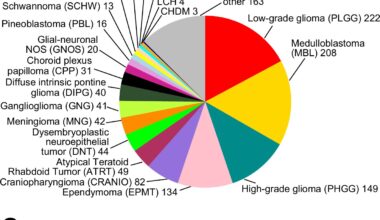 Study uncovers source of genetic variation influencing childhood brain tumors