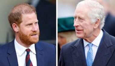 King Charles Seriously Ill and Refusing Chemo—Longs for Reunion with Harry: Insider