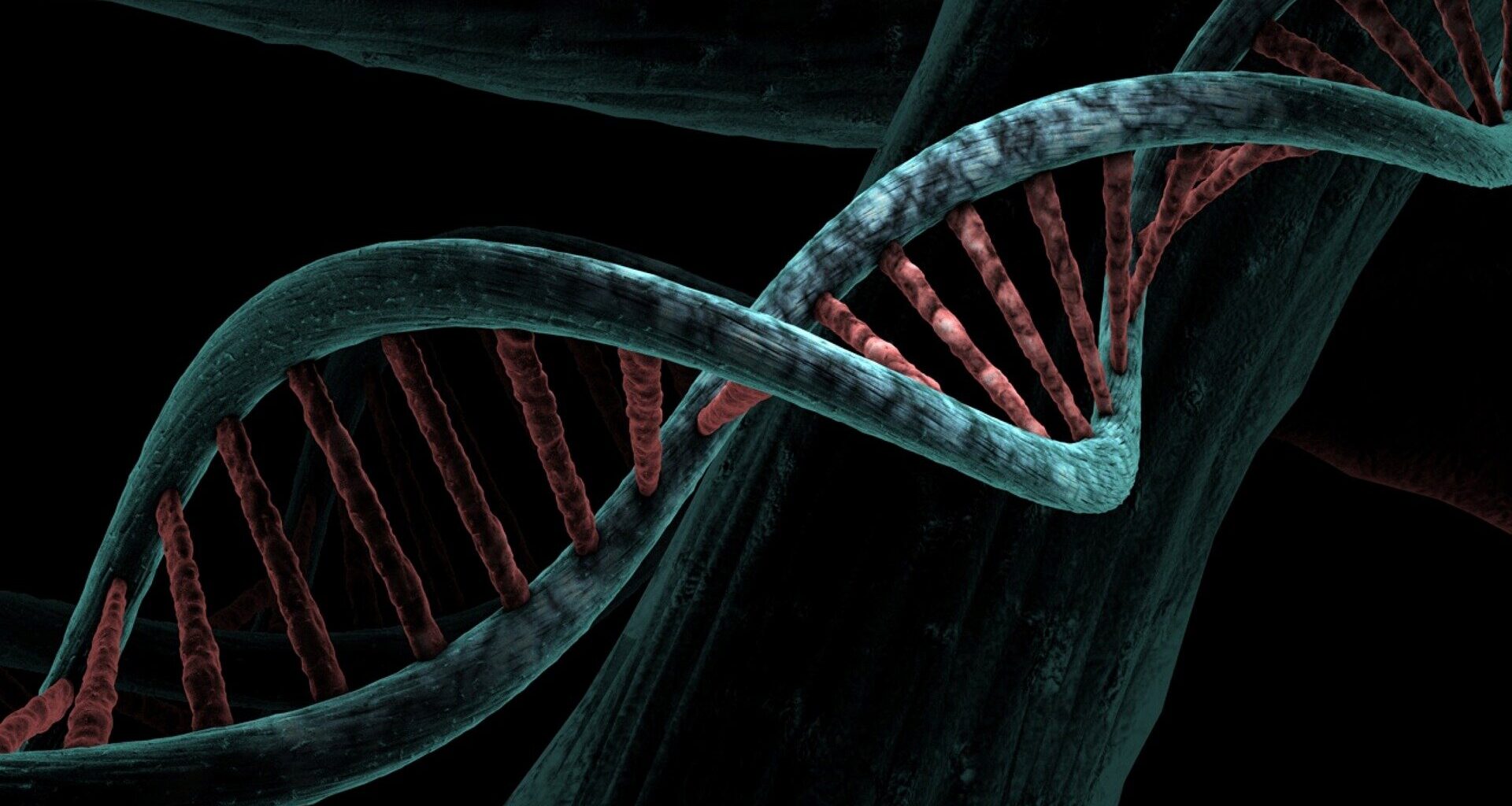 Experts urge tighter sperm donation rules after cancer-linked gene passed to children