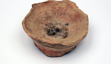 Earliest use of psychoactive and medicinal plant 'harmal' identified in Iron Age Arabia