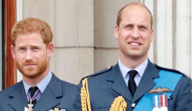 Prince William Lays Out His Plan for the Monarchy and It’s Exactly What Harry Wants