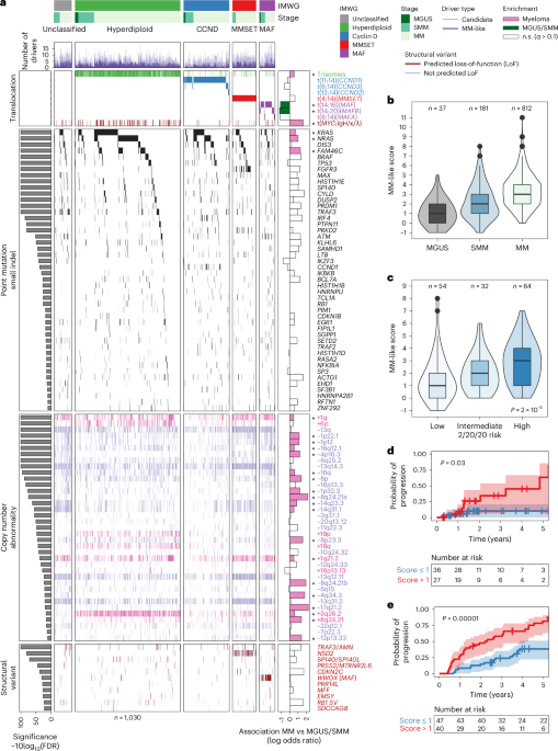 Genomic landscape of multiple myeloma and its precursor conditions