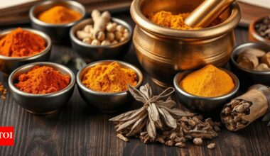 Ayush ministry signs MoU with WHO to create module for traditional Indian medicine | India News
