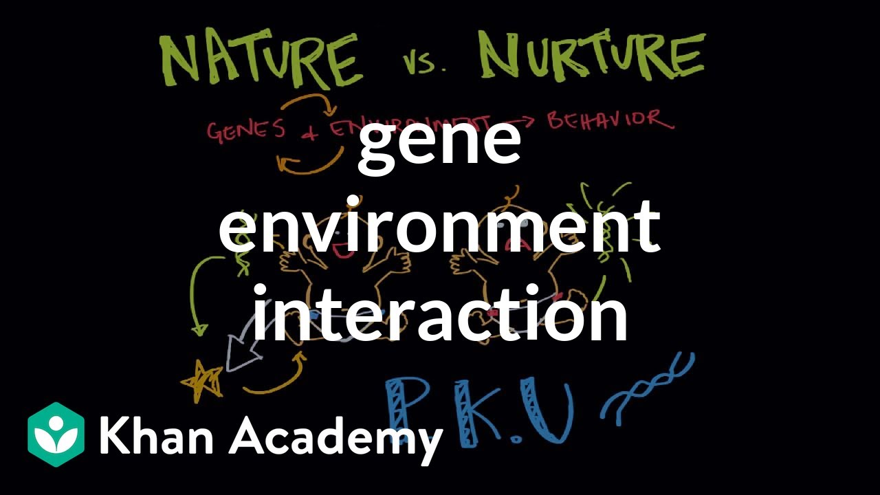 Gene environment interaction | Behavior | MCAT | Khan Academy - YouTube