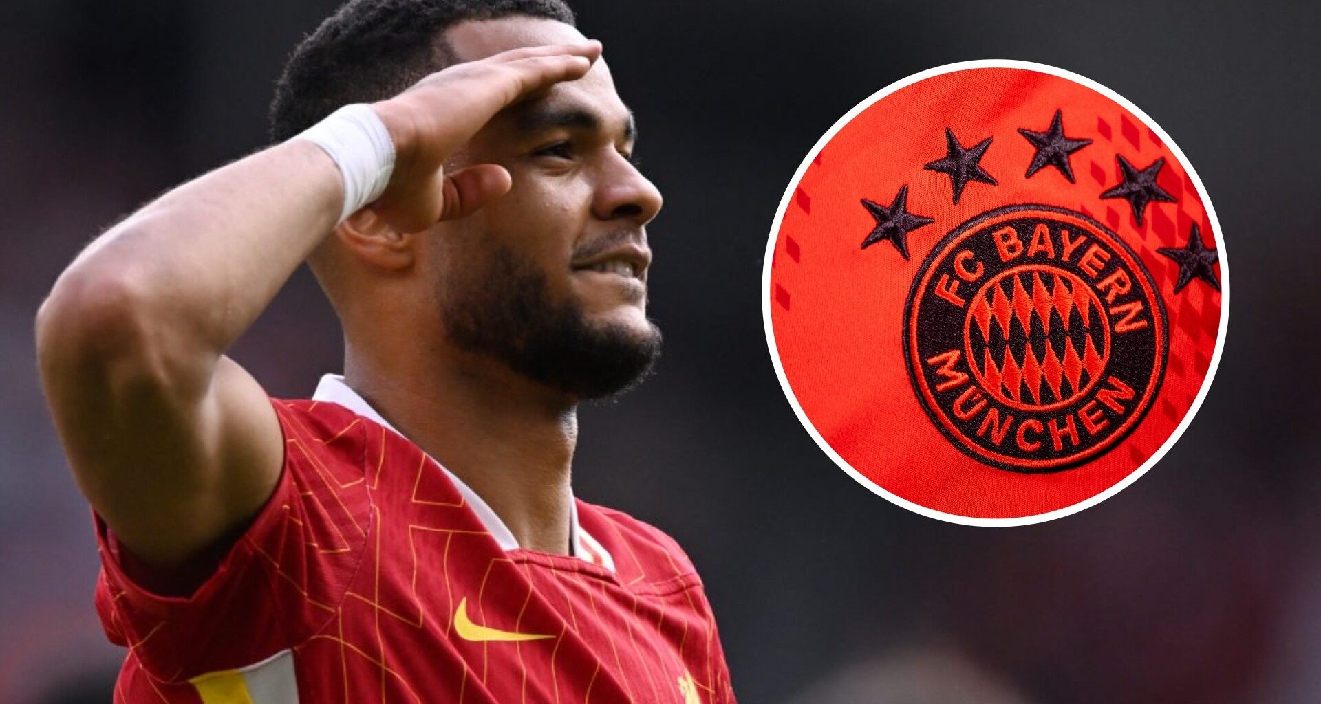Bayern Munich in talks with Liverpool over Cody Gakpo as surprising Arne Slot transfer stance revealed