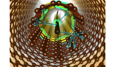 New insights show universal applicability of carbyne as a sensor
