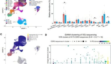 Diagnosing Parkinson's using a blood-based genetic signature