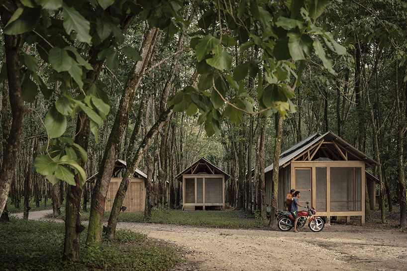 manuel cervantes estudio embeds temporary housing units among rubber trees in mexico