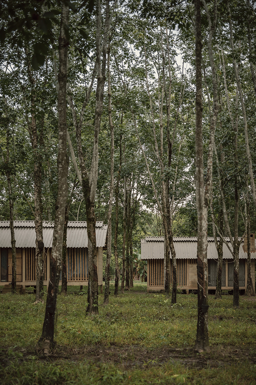 manuel cervantes estudio embeds temporary housing units among rubber trees in mexico