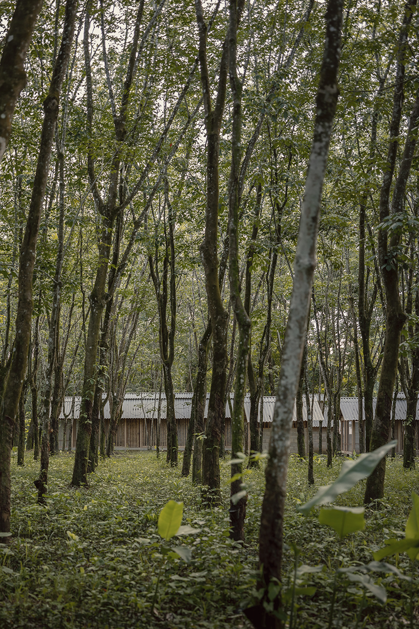 manuel cervantes estudio embeds temporary housing units among rubber trees in mexico
