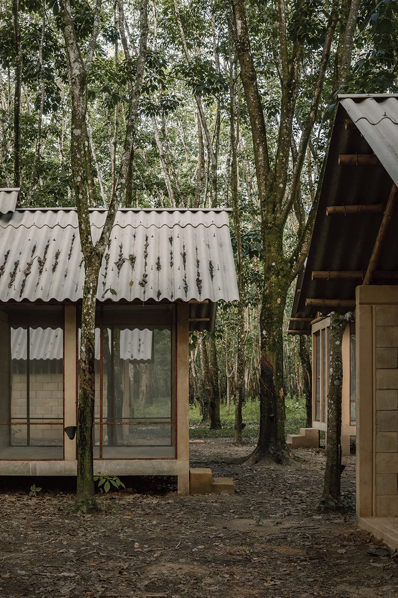 manuel cervantes estudio embeds temporary housing units among rubber trees in mexico